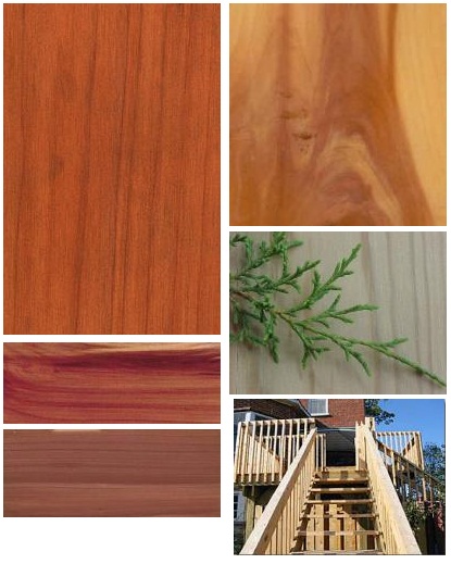 Documento sin título